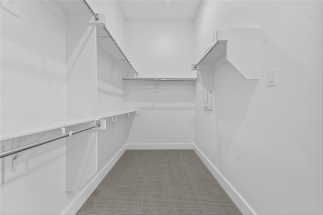 walk in closet with carpet floors