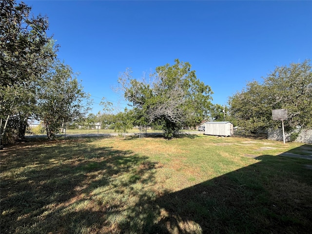 view of yard featuring a shed