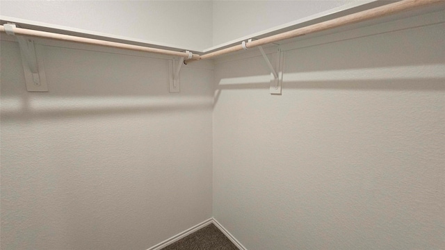 walk in closet featuring carpet