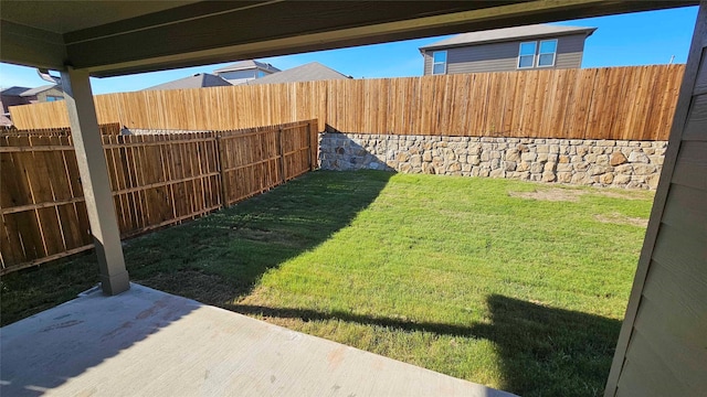 view of yard featuring a patio area