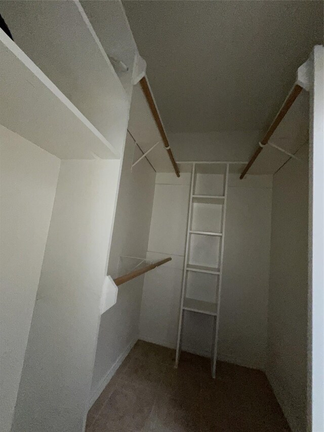 spacious closet featuring carpet floors