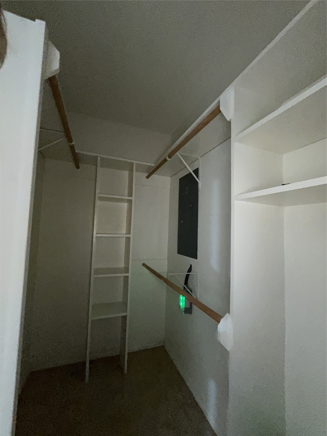 walk in closet featuring electric panel