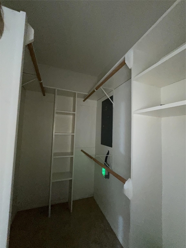 walk in closet with electric panel