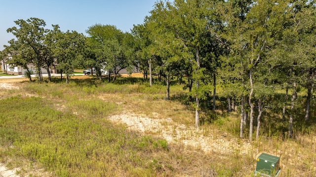 2124 Lacee Ct, Granbury TX, 76048 land for sale