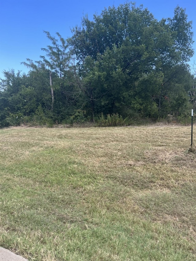 389 Roaring Fork Cir, Gordonville TX, 76245 land for sale