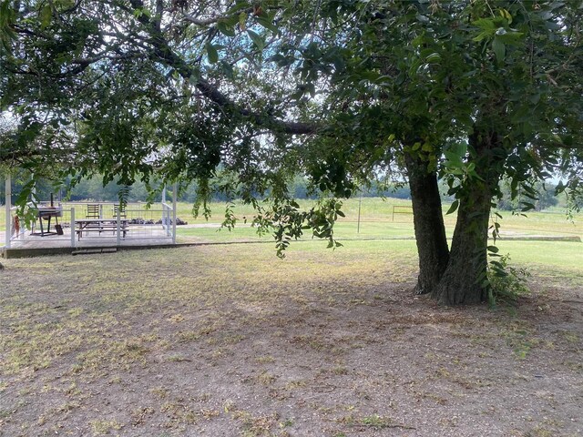 view of yard with a deck