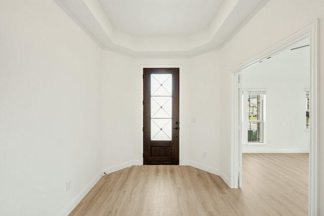 entrance foyer featuring a raised ceiling, light hardwood / wood-style flooring, and a wealth of natural light