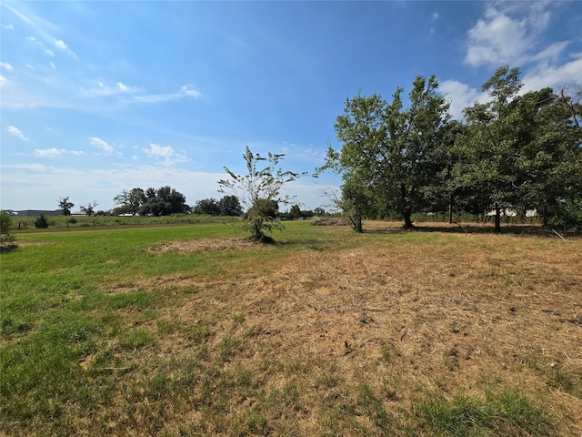 view of yard with a rural view