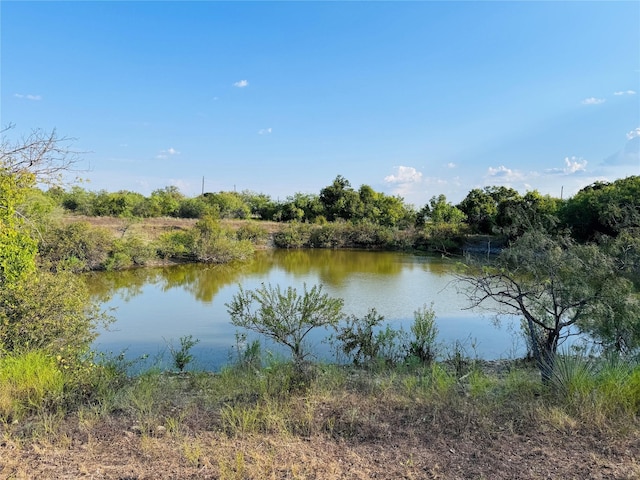 Listing photo 3 for 13301 County Road 291, Zephyr TX 76890