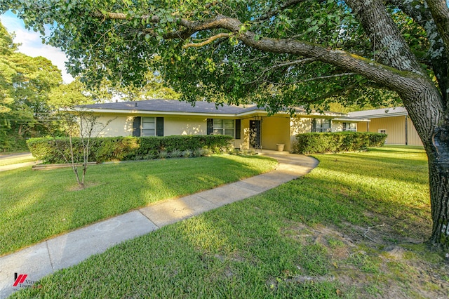 ranch-style house with a front lawn