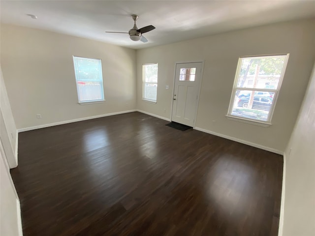 entrance foyer with ceiling fan, plenty of natural light, and dark hardwood / wood-style flooring