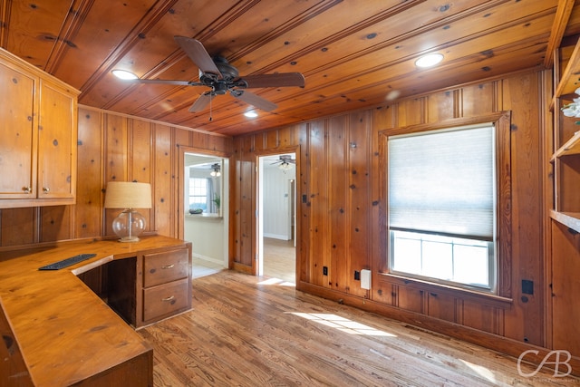 kitchen with a healthy amount of sunlight, wooden walls, and light hardwood / wood-style flooring