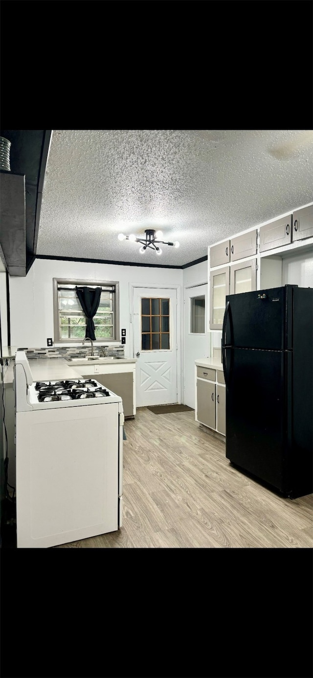 interior space featuring light hardwood / wood-style floors, black refrigerator, a textured ceiling, and white gas range