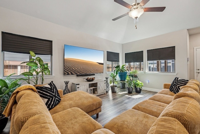 living room with light wood-type flooring, a healthy amount of sunlight, ceiling fan, and lofted ceiling