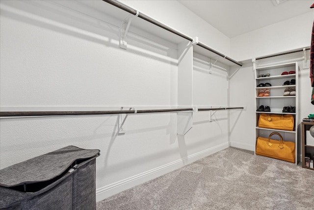 spacious closet with carpet