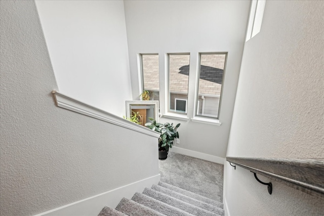 stairs featuring a wealth of natural light and carpet flooring