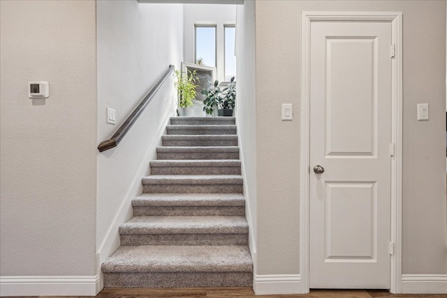 stairs with hardwood / wood-style flooring