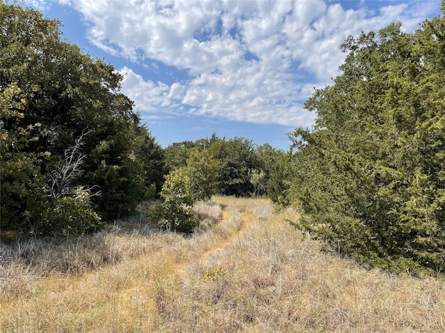 view of landscape