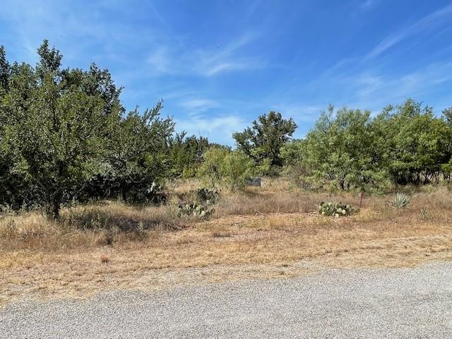 LOT32 Jennifer Ln, Brownwood, TX 76801