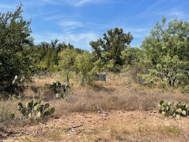 Listing photo 2 for LOT32 Jennifer Ln, Brownwood TX 76801