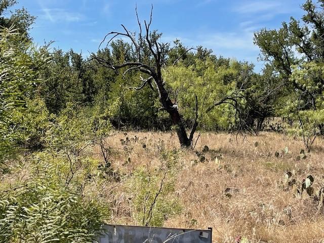 LOT32 Jennifer Ln, Brownwood, TX 76801