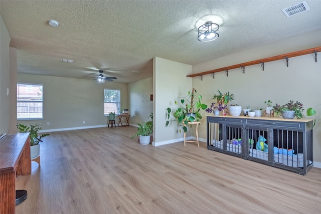 interior space featuring light wood-type flooring, a textured ceiling, and plenty of natural light