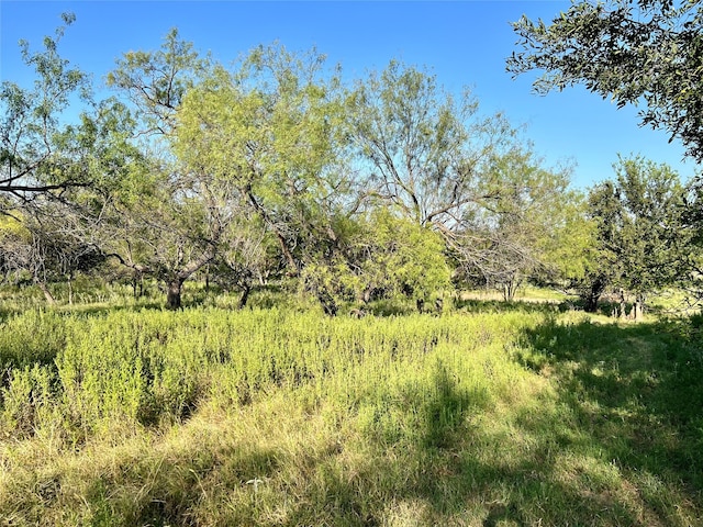 Listing photo 2 for TBD Quillian Trace, Gholson TX 76705