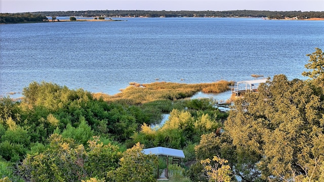 property view of water