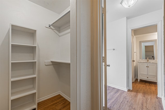 spacious closet with sink and wood-type flooring