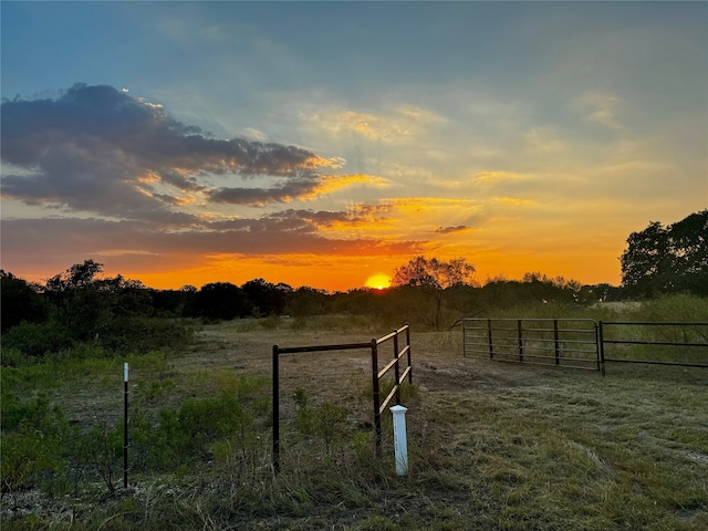 Listing photo 3 for 1100 County Road 1990, Chico TX 76431