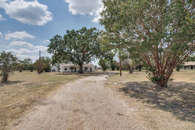 view of front of house with a front yard