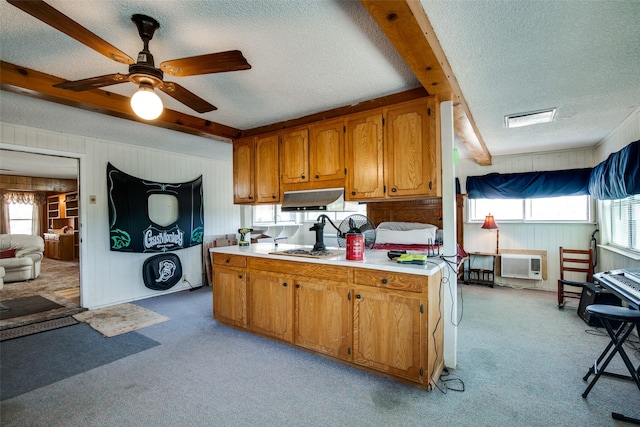 kitchen featuring a textured ceiling, light colored carpet, and a wealth of natural light