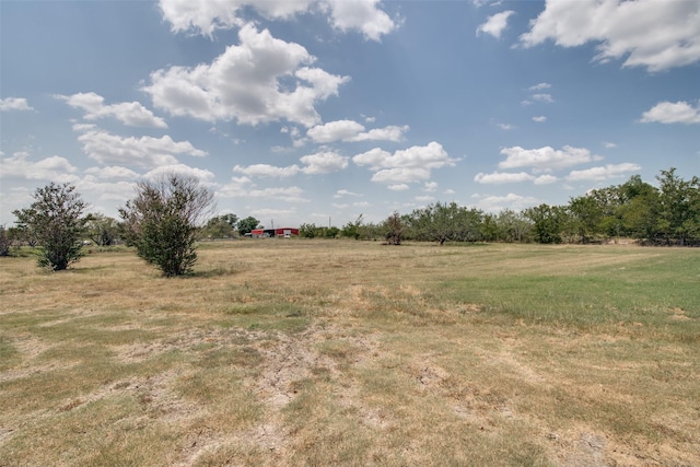 view of local wilderness with a rural view