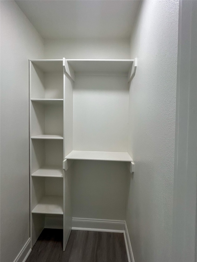 spacious closet featuring dark hardwood / wood-style flooring