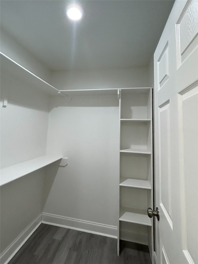 walk in closet with dark hardwood / wood-style floors