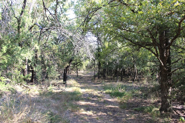 view of local wilderness