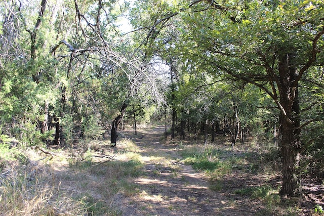 view of nature with a wooded view