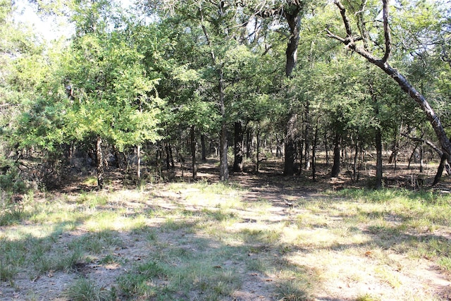 view of local wilderness