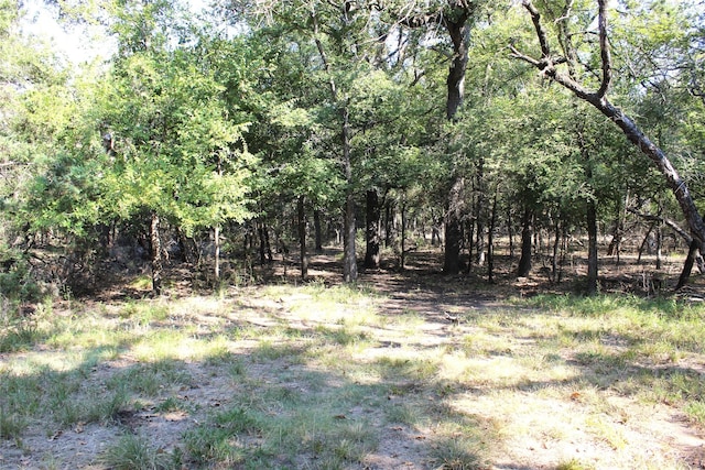 view of landscape with a forest view