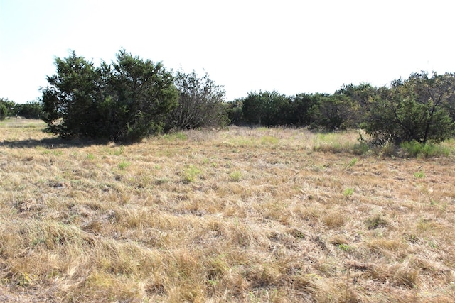 view of landscape featuring a rural view