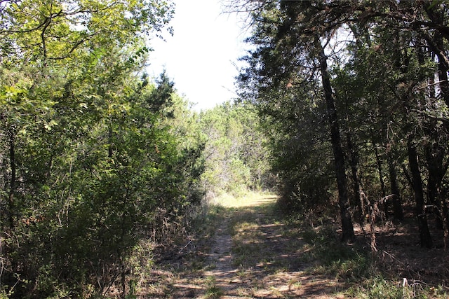view of landscape with a wooded view