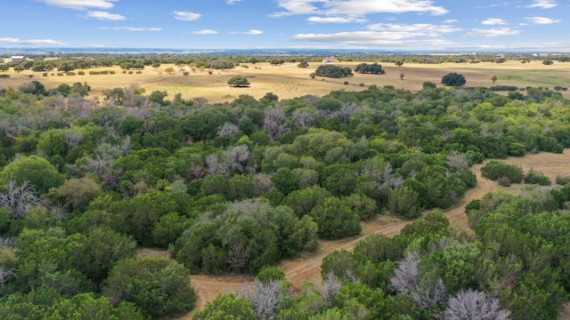 drone / aerial view featuring a forest view