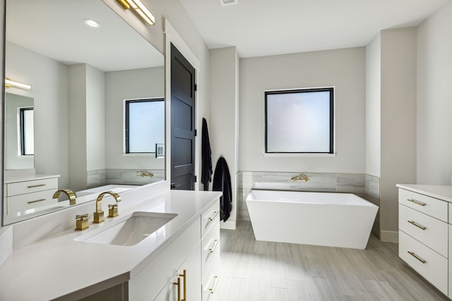 bathroom featuring a washtub, vanity, and a wealth of natural light