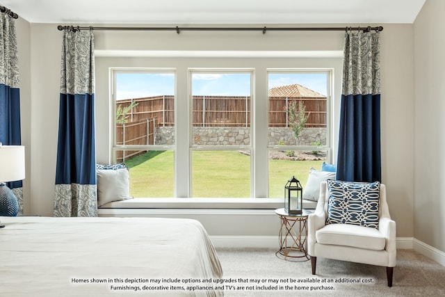 carpeted bedroom featuring multiple windows