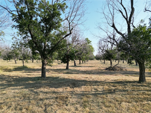 Listing photo 3 for 1013 E Landings N, Granbury TX 76049