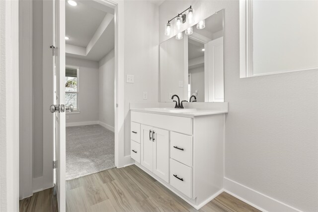 bathroom featuring vanity and wood-type flooring