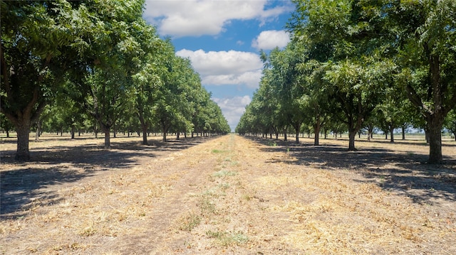 view of yard featuring a rural view