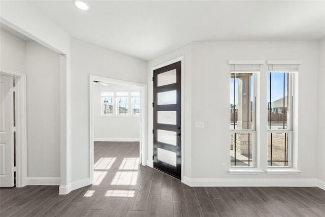 entryway featuring dark hardwood / wood-style floors and plenty of natural light