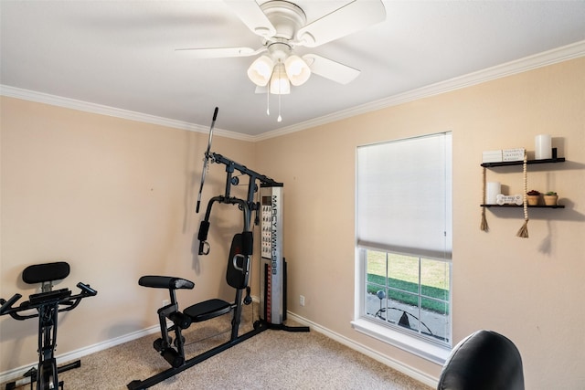 exercise room featuring a ceiling fan, baseboards, carpet floors, and crown molding