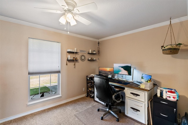 office area featuring baseboards, a ceiling fan, carpet flooring, and ornamental molding